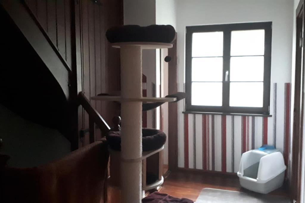 Private Room In Our Home With Free Vvo Ticket & Cats Pirna Exterior foto