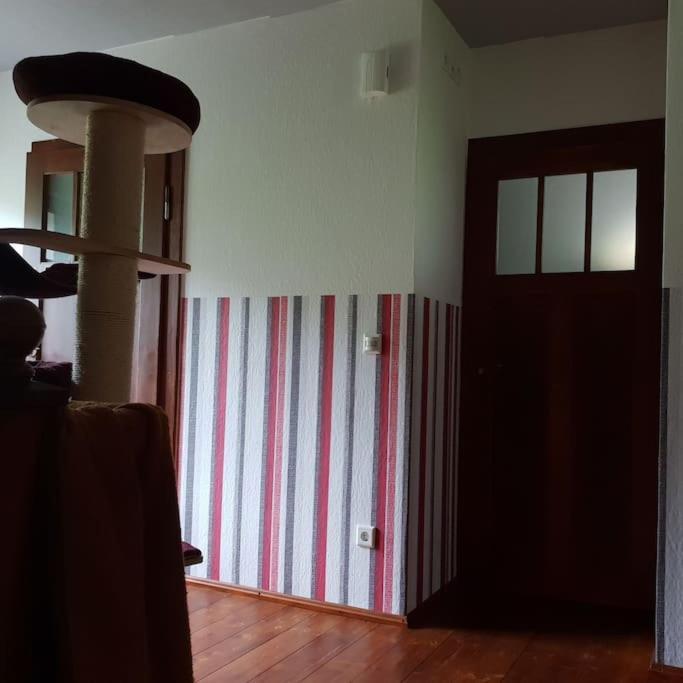 Private Room In Our Home With Free Vvo Ticket & Cats Pirna Exterior foto
